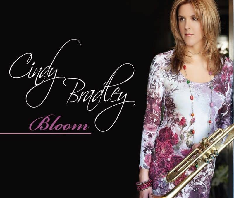 Cindy Bradley – Bloom