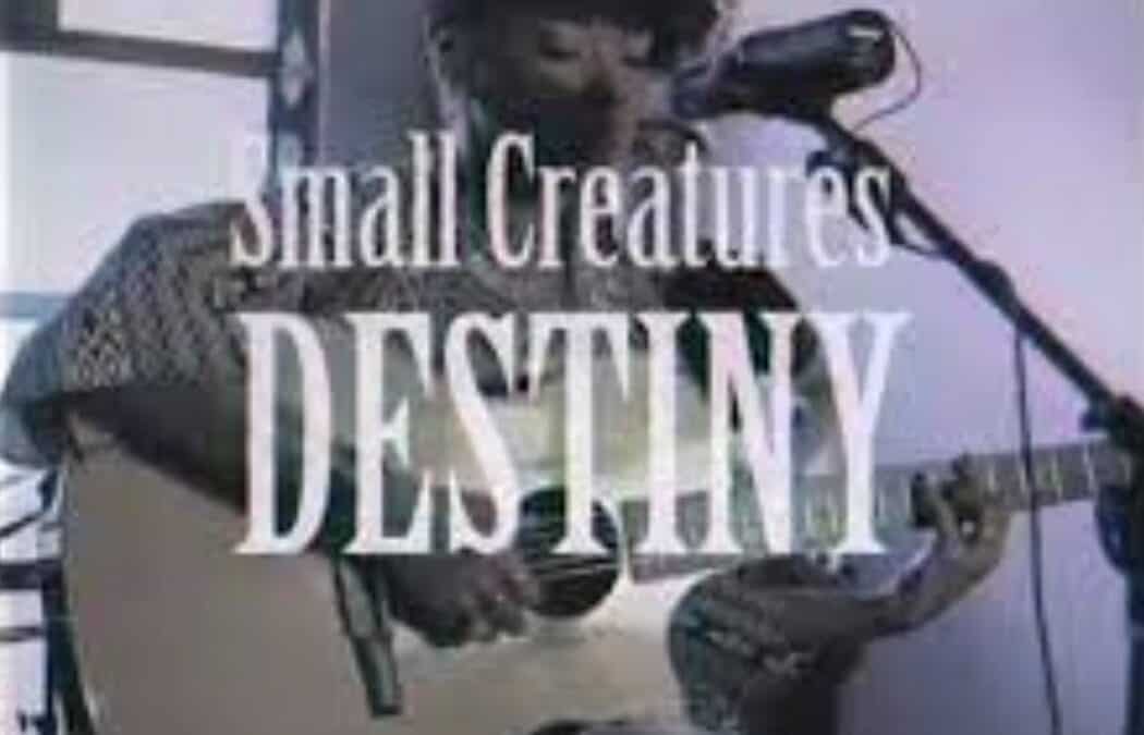 Small Creatures – Destiny
