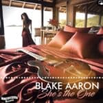 Blake Aaron – She’s The One